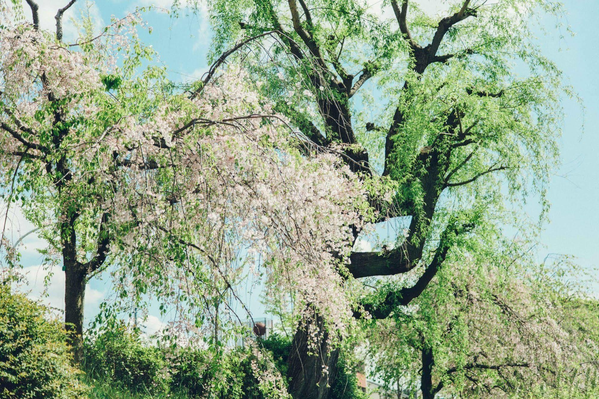 A Pousada Len Kyoto Kawaramachi Exterior foto